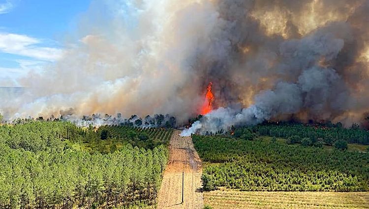 INCENDIES - Un nouveau plan de lutte dans les Landes